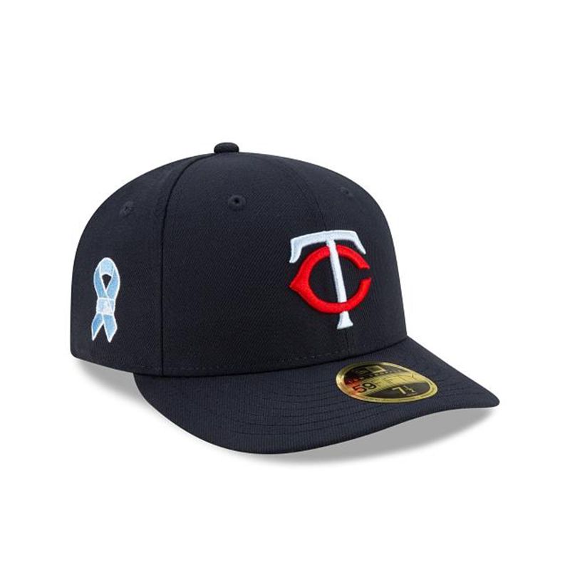 MLB Minnesota Twins Father's Day Low Profile 59Fifty Fitted (EUI1975) - Blue New Era Caps